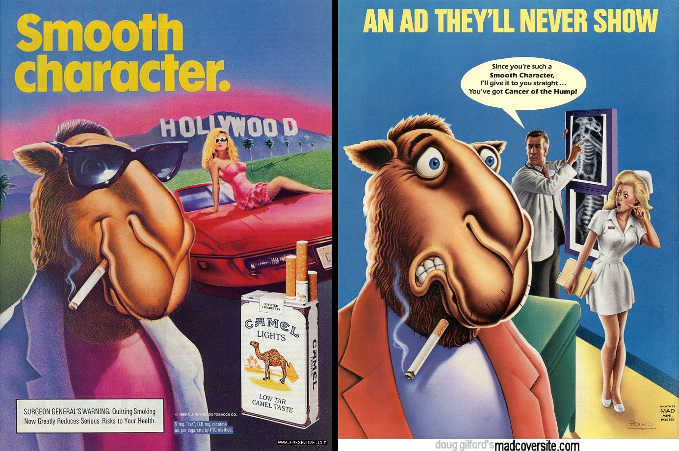 Camel Cigarettes