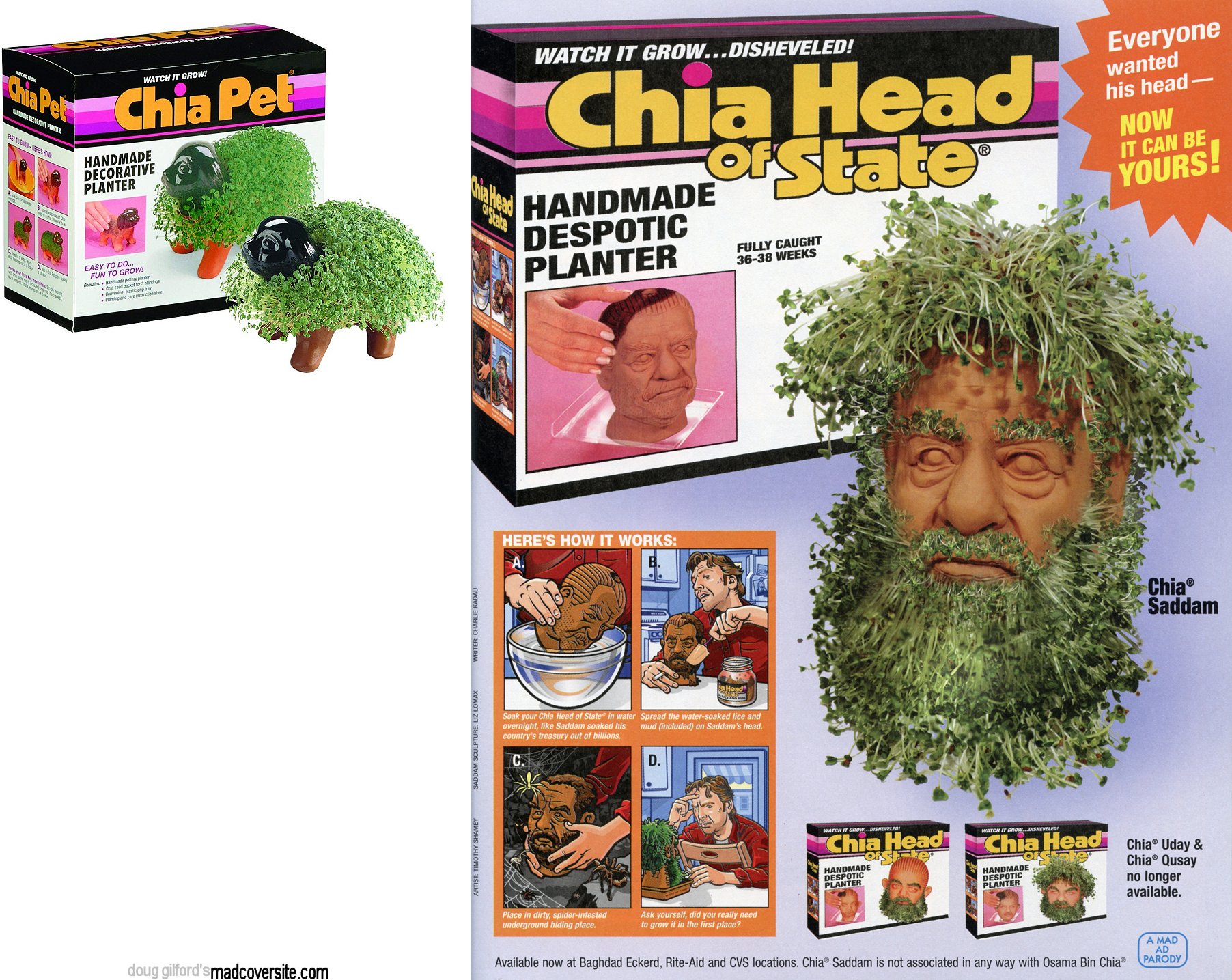 Chia Pet